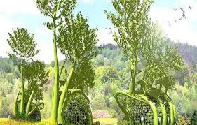 خانه‌ای که دیوارش بزرگ می‌شود!