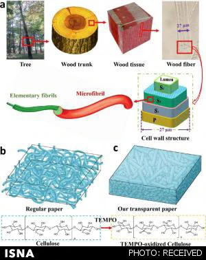 سلول‌های خورشیدی چوبی از راه می‌رسند!