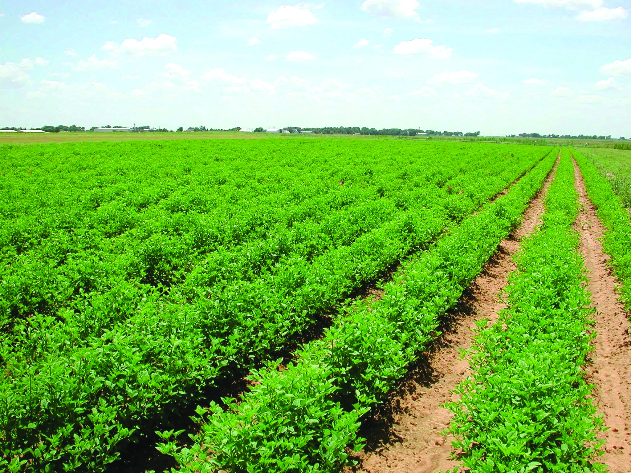 زمین‌های کشاورزی بهشت زمین‌خواران ایران