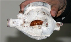 نصب کنتورهای هوشمند آب الزامی است