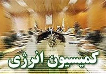 دولت قانون اصلاح الگوی مصرف را اجرا کند