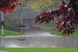 سنجش باران با چتر هوشمند