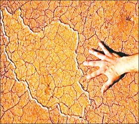 کالاها برچسب ‌آب می‌خورند