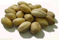 ساخت نانوکامپوزیت از پسته 