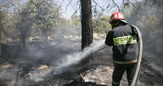  باغ فرزانه شیراز قربانی شهرفروشان شد!