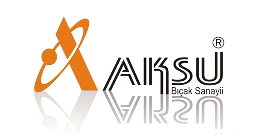 گشایش دفتر شرکت آکسو در تهران