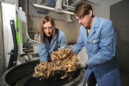 آینده انرژی زیست‌توده در کتابخانه اطلاعات زیست‌توده