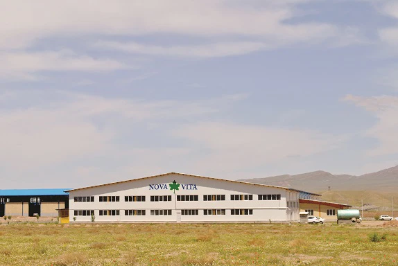 نوواویتا؛ پنجره‌ای رو به زندگی نو